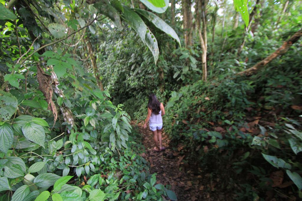 Rancho Cerro Azul 3* La Fortuna