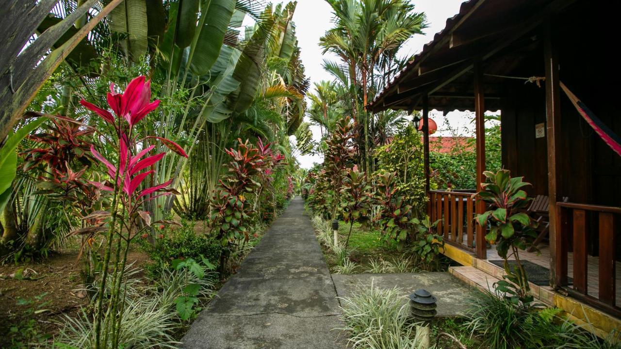 Rancho Cerro Azul 3*