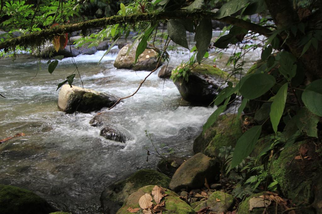 Rancho Cerro Azul La Fortuna